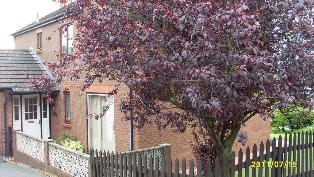 Lazonby Briardale Bed & Breakfast エクステリア 写真